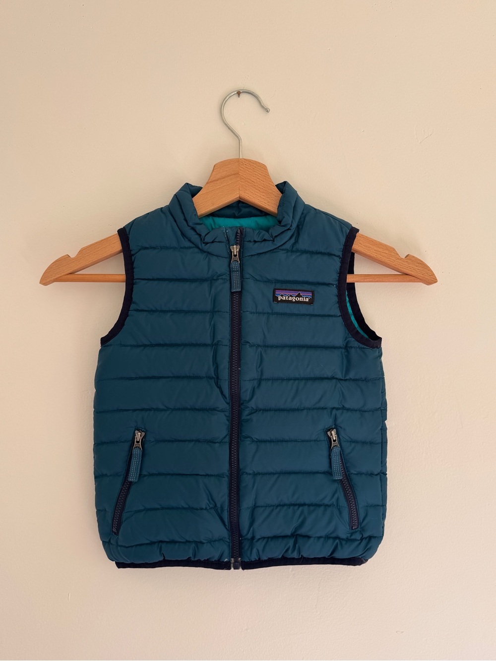 Patagonia Kids Down Vest